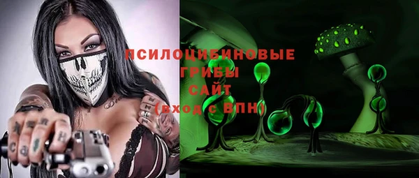 ГАЛЛЮЦИНОГЕННЫЕ ГРИБЫ Богданович
