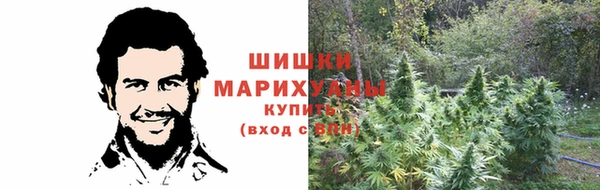 первитин Богородицк