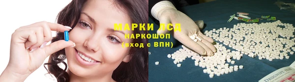 гашик Беломорск