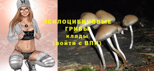 ГАЛЛЮЦИНОГЕННЫЕ ГРИБЫ Богданович
