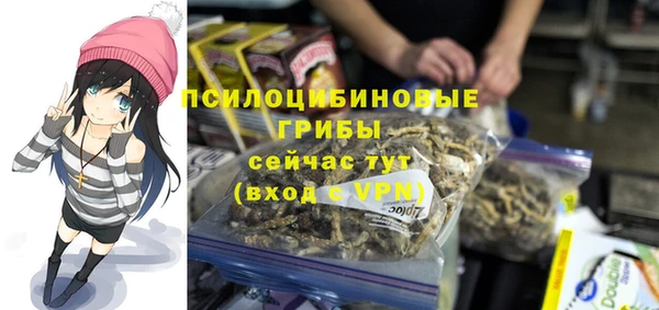 кристаллы Белокуриха