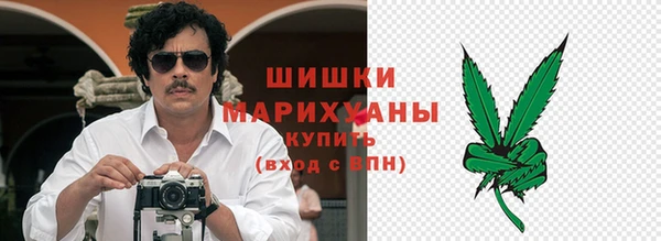ГАЛЛЮЦИНОГЕННЫЕ ГРИБЫ Богданович