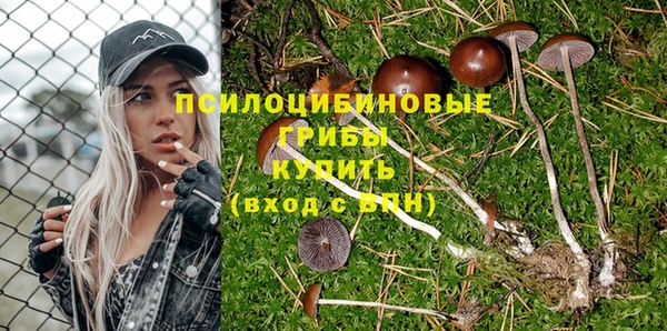 дурь Белоозёрский