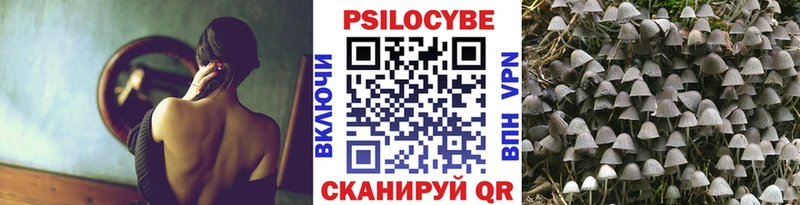 Псилоцибиновые грибы прущие грибы  Купить  Нарьян-Мар 